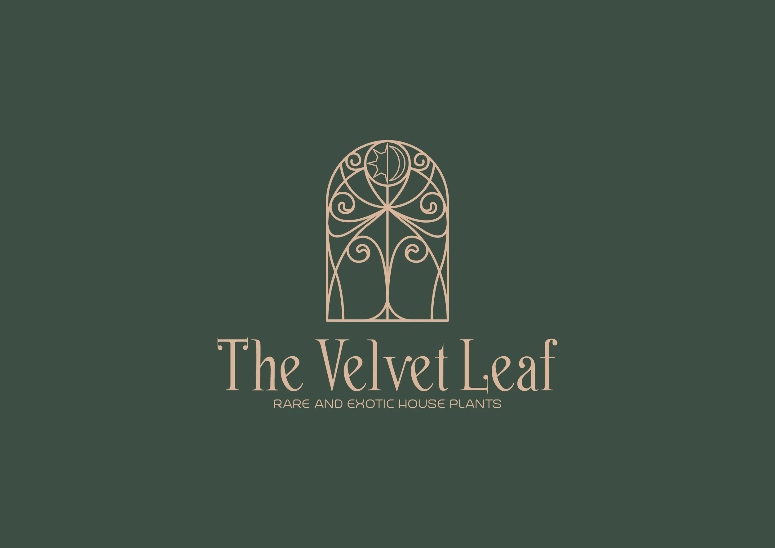 Logo design samples by Éire Graphic Design