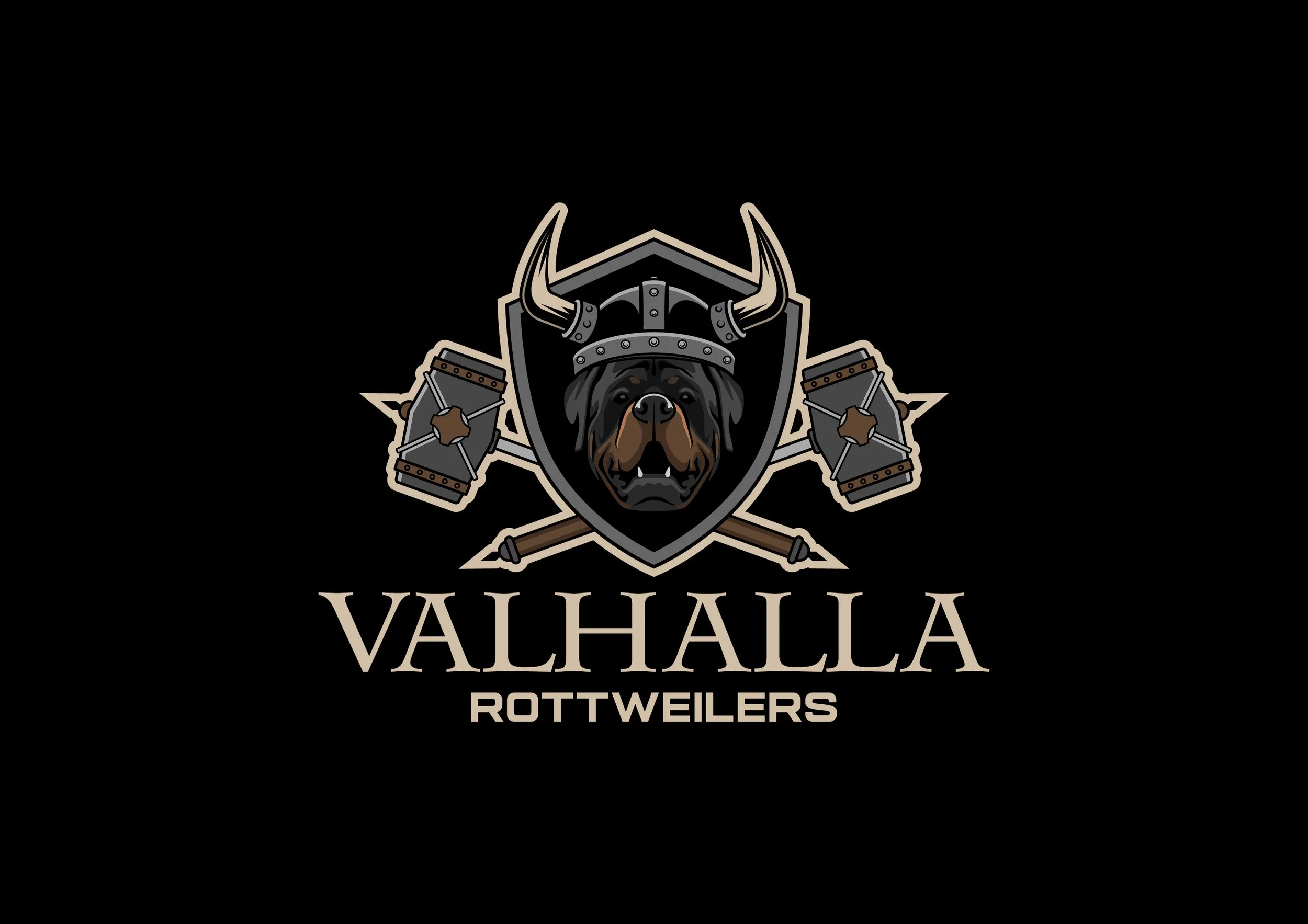 Logo of Valhalla Rottweilers featuring a Rottweiler dog's head in Viking warrior helmet with horns, mounted shield, crossed hammers, and crossed swords, with the text 'Valhalla Rottweilers' below, on a black background.
