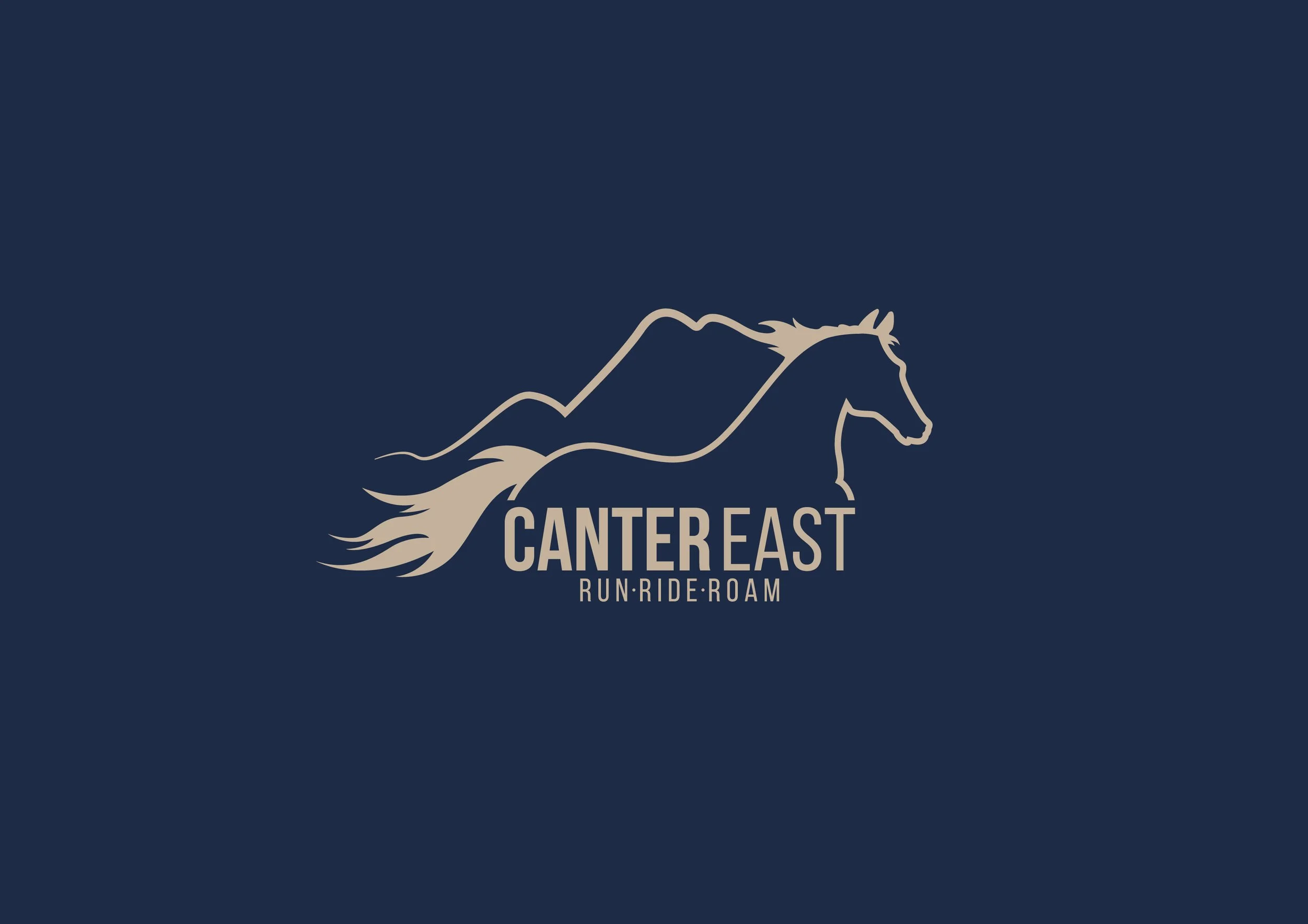 Logo design samples by Éire Graphic Design